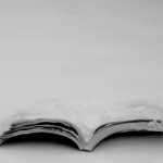 Book under snow